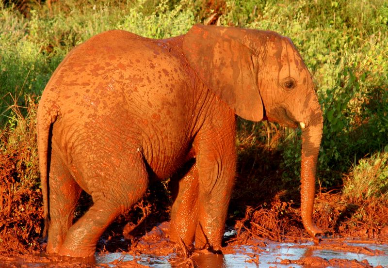 kenya_2007_0651